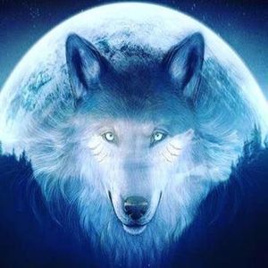 Meet your Posher, Jaime